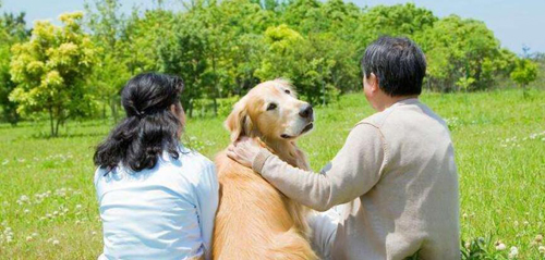 择思达斯经颅磁刺激仪_诱发脑出血的原因有什么